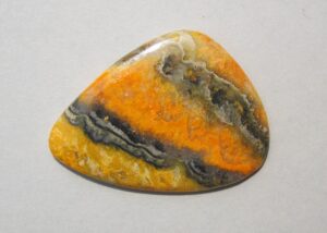 Bumblebee Jasper